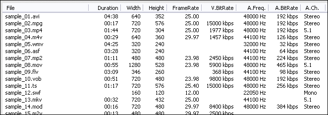 FLV File Information